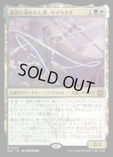 運命に導かれし者、ケイリクス/Calix, Guided by Fate