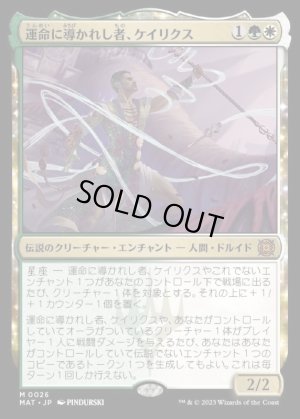 画像1: 運命に導かれし者、ケイリクス/Calix, Guided by Fate