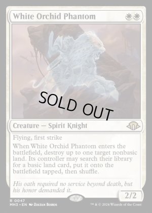 画像2: 白蘭の幻影/White Orchid Phantom