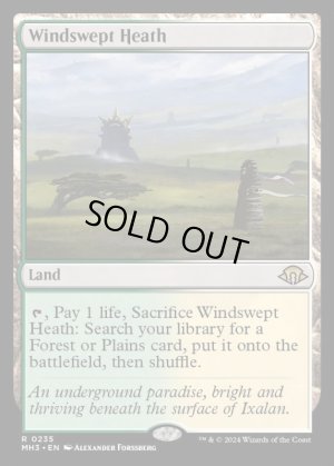 画像2: 吹きさらしの荒野/Windswept Heath