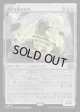 運命を貪るもの/Devourer of Destiny