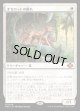 オセロットの群れ/Ocelot Pride
