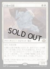 白蘭の幻影/White Orchid Phantom