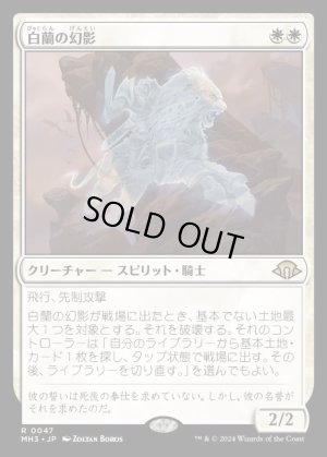 画像1: 白蘭の幻影/White Orchid Phantom