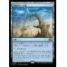 画像1: 革新のアーチ道/Archway of Innovation (1)