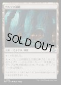 ウルザの洞窟/Urza's Cave