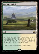 吹きさらしの荒野/Windswept Heath