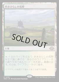 吹きさらしの荒野/Windswept Heath