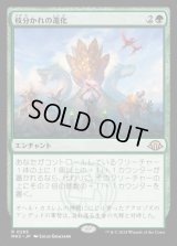 枝分かれの進化/Branching Evolution