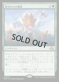 枝分かれの進化/Branching Evolution