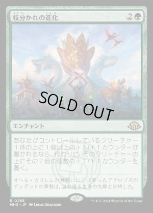 画像1: 枝分かれの進化/Branching Evolution