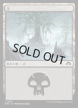 沼/Swamp