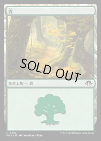 森/Forest