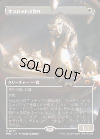 オセロットの群れ/Ocelot Pride