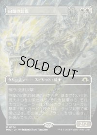 白蘭の幻影/White Orchid Phantom