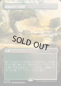 吹きさらしの荒野/Windswept Heath