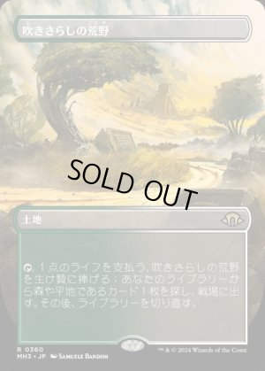 画像1: 吹きさらしの荒野/Windswept Heath