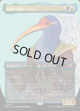 有翼の叡智、ナドゥ/Nadu, Winged Wisdom