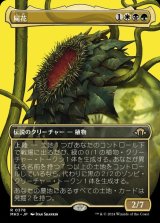 屍花/The Necrobloom