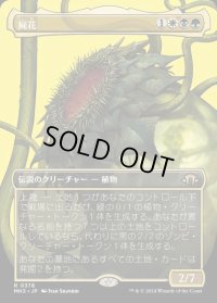 屍花/The Necrobloom