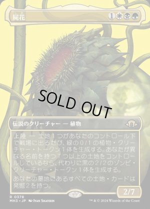 画像1: 屍花/The Necrobloom
