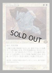 白蘭の幻影/White Orchid Phantom