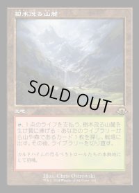 樹木茂る山麓/Wooded Foothills