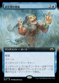 両生類の豪雨/Amphibian Downpour