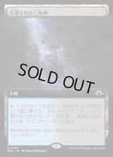 汚染された三角州/Polluted Delta