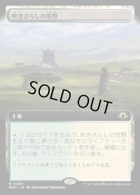 吹きさらしの荒野/Windswept Heath