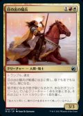 《日の出の騎兵/Sunrise Cavalier(244)》【JPN】[MID金U]