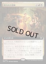 《売られた喧嘩/Take the Bait(0353)》【JPN】[MKC金R]