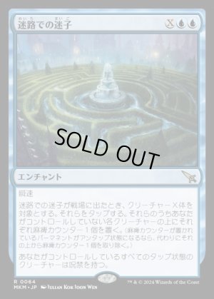 画像1: 迷路での迷子/Lost in the Maze