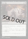 長い別れ/Long Goodbye
