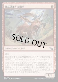 狂乱逃走する山羊/Frantic Scapegoat