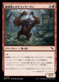 機械壊しのオランウータン/Gearbane Orangutan