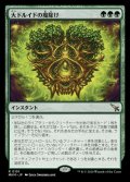 大ドルイドの魔除け/Archdruid's Charm
