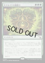 大ドルイドの魔除け/Archdruid's Charm