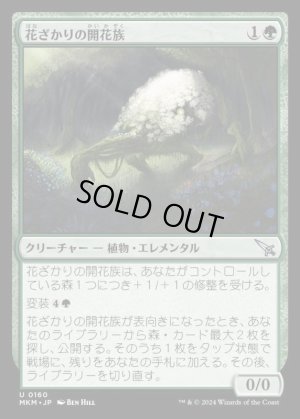 画像1: 花ざかりの開花族/Flourishing Bloom-Kin