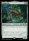 育殻組の誉れ/The Pride of Hull Clade