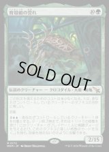 育殻組の誉れ/The Pride of Hull Clade