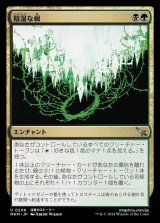 陰湿な根/Insidious Roots