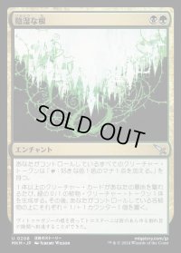 陰湿な根/Insidious Roots