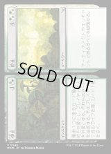 中止+停止/Cease+Desist