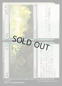 中止+停止/Cease+Desist