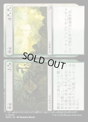 画像1: 中止+停止/Cease+Desist