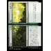 画像1: 中止+停止/Cease+Desist (1)