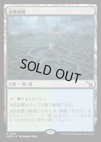 迷路庭園/Hedge Maze