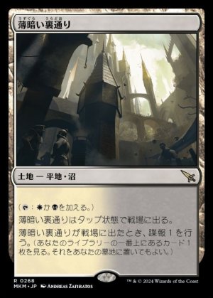 画像1: 薄暗い裏通り/Shadowy Backstreet