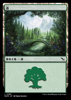 画像1: 森/Forest